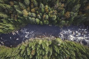 Aerial view of the boreal forest surrounding a river in Canada