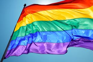 It’s okay to “Say Gay” in the Workplace: Examining Workplace Issues for the 2SLGBTQIA Community