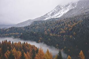 Autumn mountain landscape at the beginning of winter in Canada