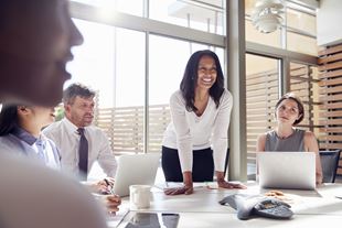 Group of professionals in a boardroom