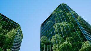 Buildings and Plants