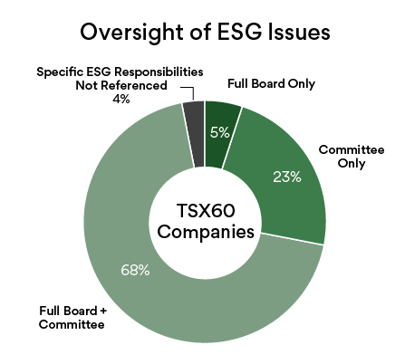 Round graph indicating the responsibility of oversight of ESG issues among TSX 60 companies